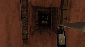 Shadows Beneath the Dust