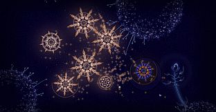 Microcosmum: survival of cells - Colors for organisms