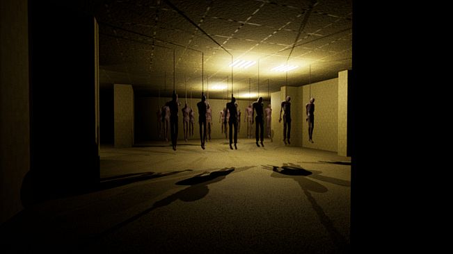 The Backrooms Project