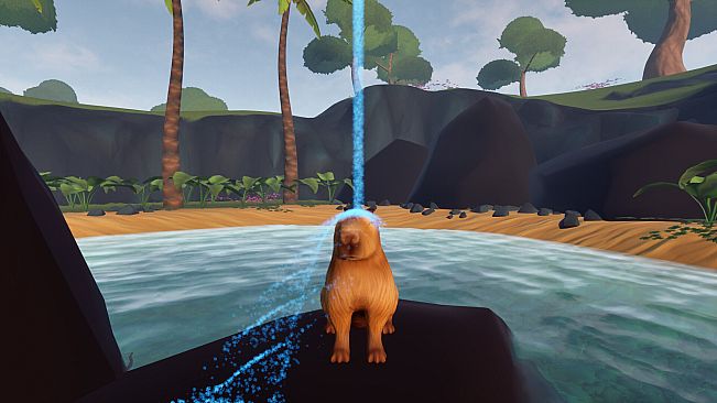 Capybara Simulator