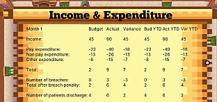Budget Guardian: Health Realm