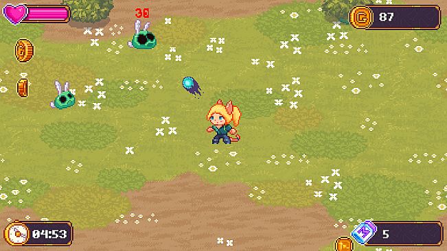 Crazy Cats Survivors