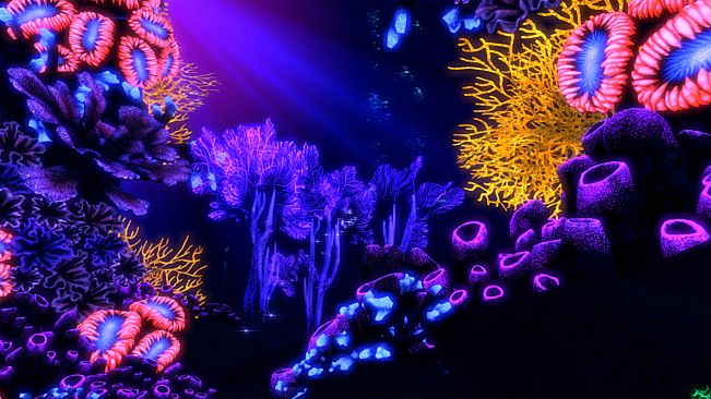 TRIPP: A New Way to Meditate