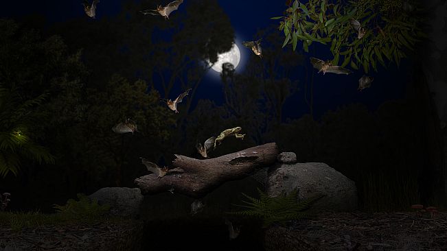 A toad well travelled