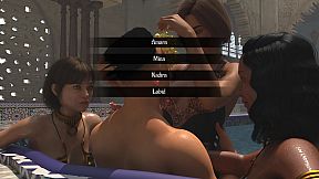 The Sultan and his Harem