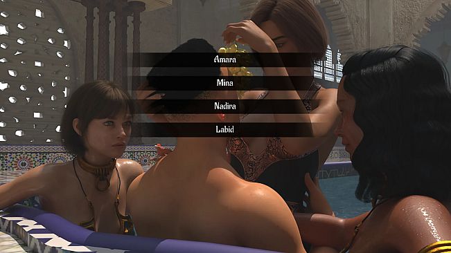 The Sultan and his Harem