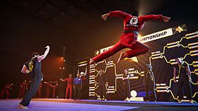 Cobra Kai Collection