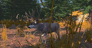 Deer Hunting - The Season 2