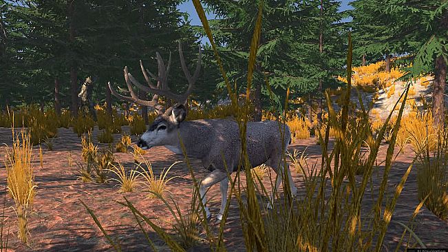 Deer Hunting - The Season 2