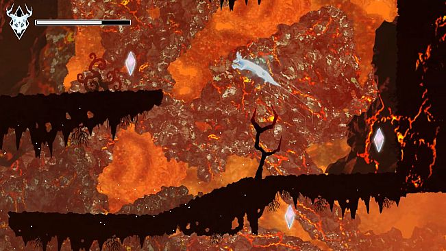 Akari - The Five Eyed Fox