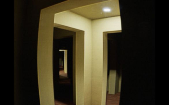 BACKROOMS THE COMPANY