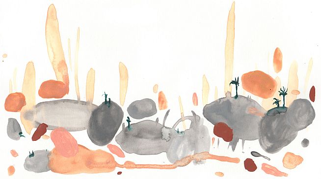 Song Animals - Collector's Edition