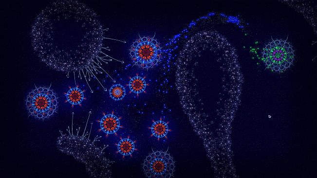 Microcosmum: survival of cells