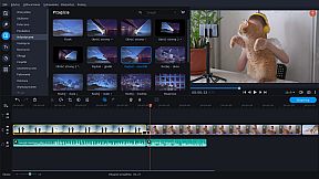 Movavi Video Editor Plus 2022 - Video Editing Software