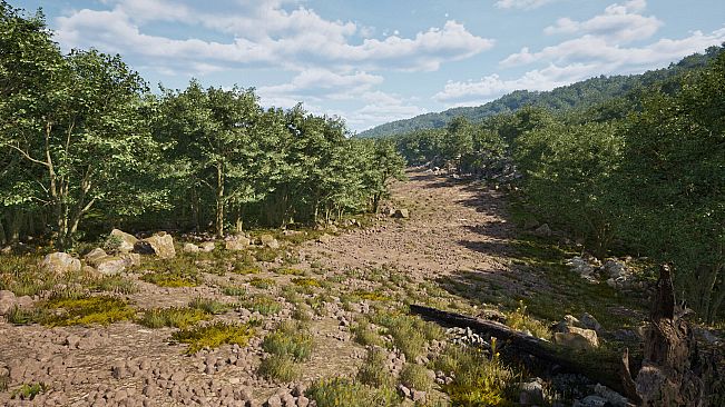 Honorbound: The Knight’s Tale