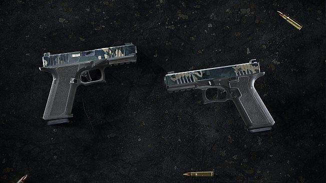 Insurgency: Sandstorm - Night Raven Weapon Skin Set