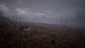Wandering Wolf
