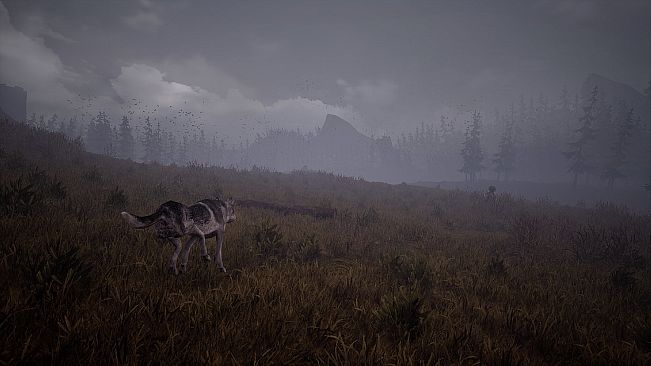 Wandering Wolf