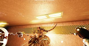 In Case of Emergency, Release Raptor