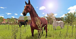 My Little Riding Champion