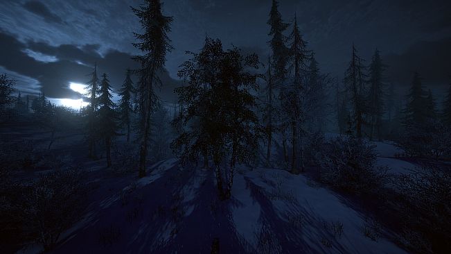 Birch Simulator