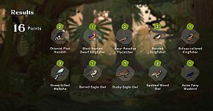 Junior Birder Adventure
