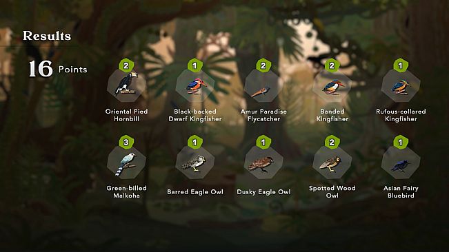 Junior Birder Adventure