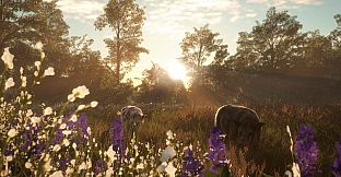 theHunter: Call of the Wild - Mississippi Acres Preserve