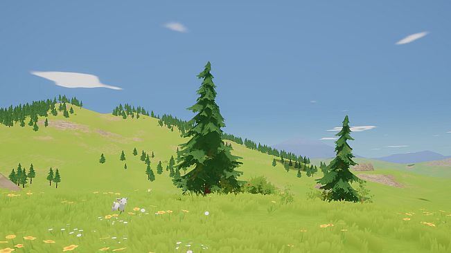 Tiny Train Adventures