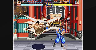 ACA NEOGEO WORLD HEROES