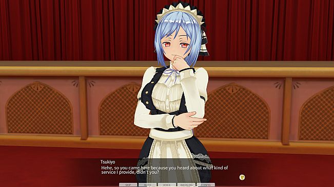 CUSTOM ORDER MAID 3D2&2.5 + V02