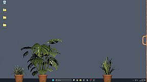 Desktop Garden