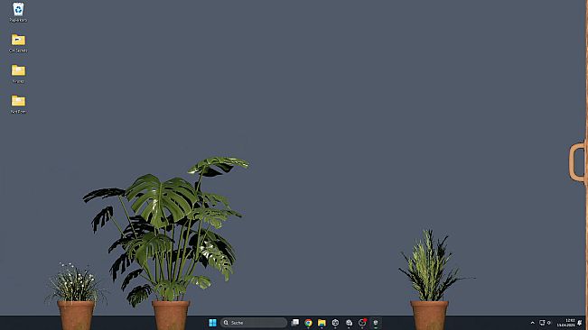 Desktop Garden