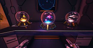 Forever Skies - Whale and Dolphin Conservation Artifact