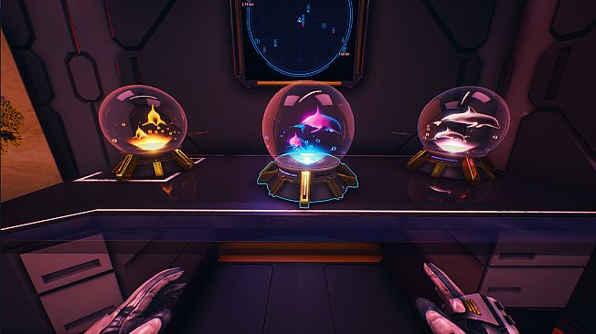 Forever Skies - Whale and Dolphin Conservation Artifact