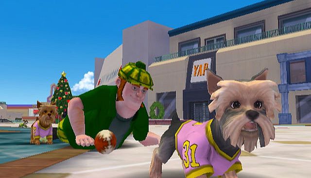 Jerry Rice & Nitus' Dog Football