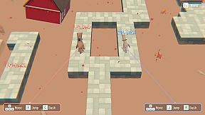 Hypotheses on the Symmetry between Vision and Hands