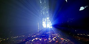 Eden: Project New Earth