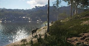 theHunter: Call of the Wild - Emerald Coast Australia - Windows 10