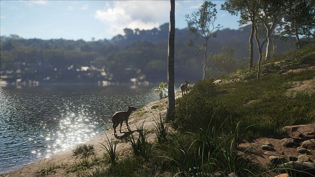 theHunter: Call of the Wild - Emerald Coast Australia - Windows 10