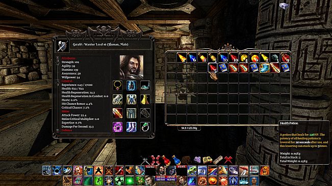 The Fall of the Dungeon Guardians - Enhanced Edition