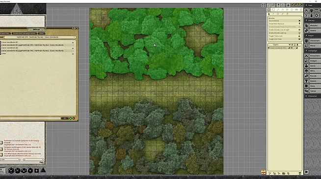 Fantasy Grounds - Pathfinder RPG - Pathfinder Flip-Mat - Classic Woodlands