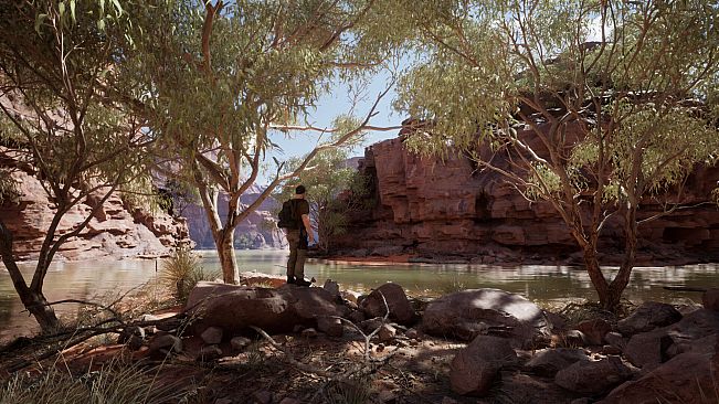 Australian Hunter