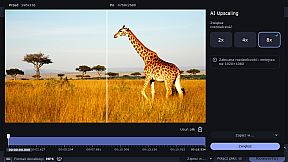 Movavi Video Suite 2023 Steam Edition - An all-in-one video maker: an editor, converter, screen recorder, and more!
