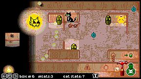 Schrodinger's Cat Experiment (SCE)