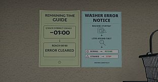 Laundromat Anomaly