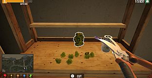 Weed Lord Simulator