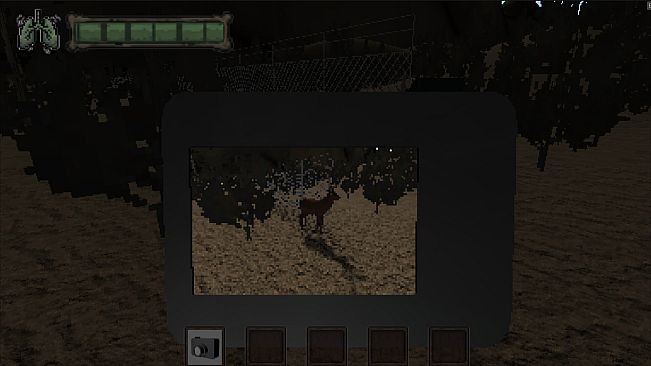 Dense Forest