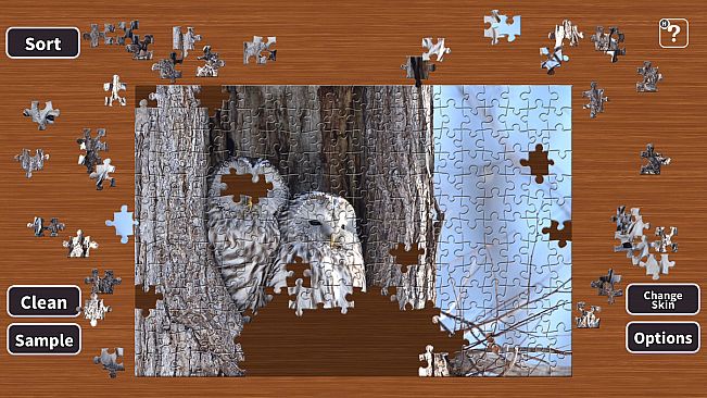 Jigsaw Masterpieces : Owl