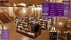 HOLLYWOOD DIRECTOR THE SIMULATION